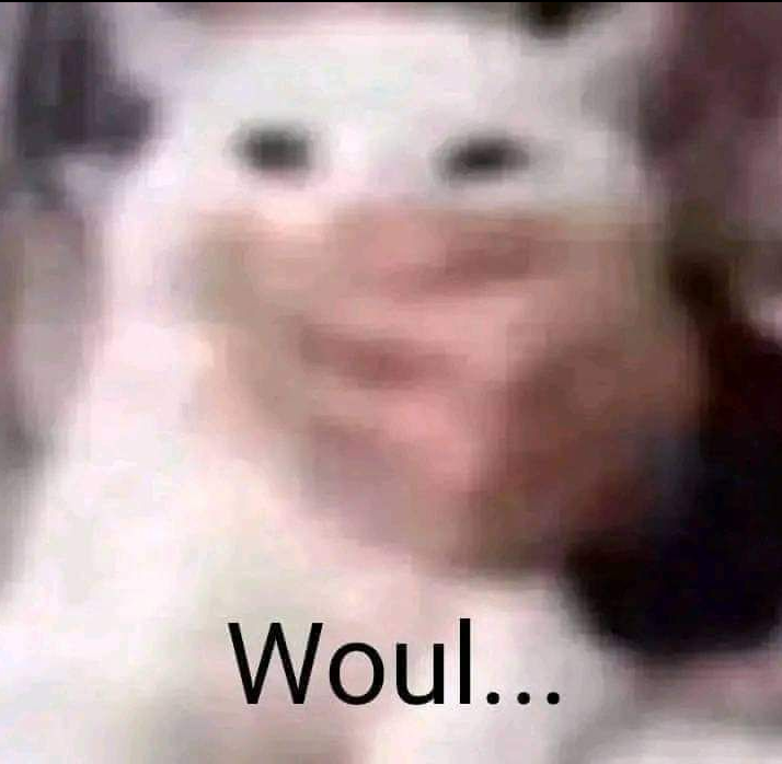 orang baik :) tweet media