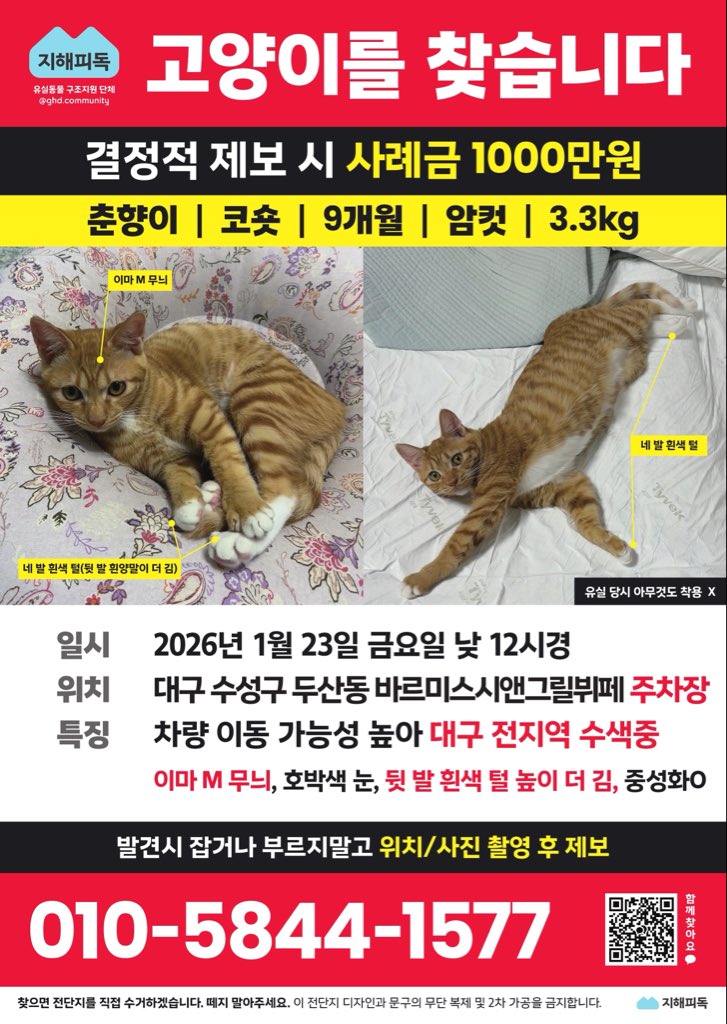 지브 tweet media