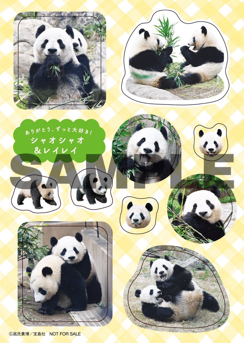 💚再入荷のお知らせ🧡／ お待たせしました！ 本日から、実店舗にて