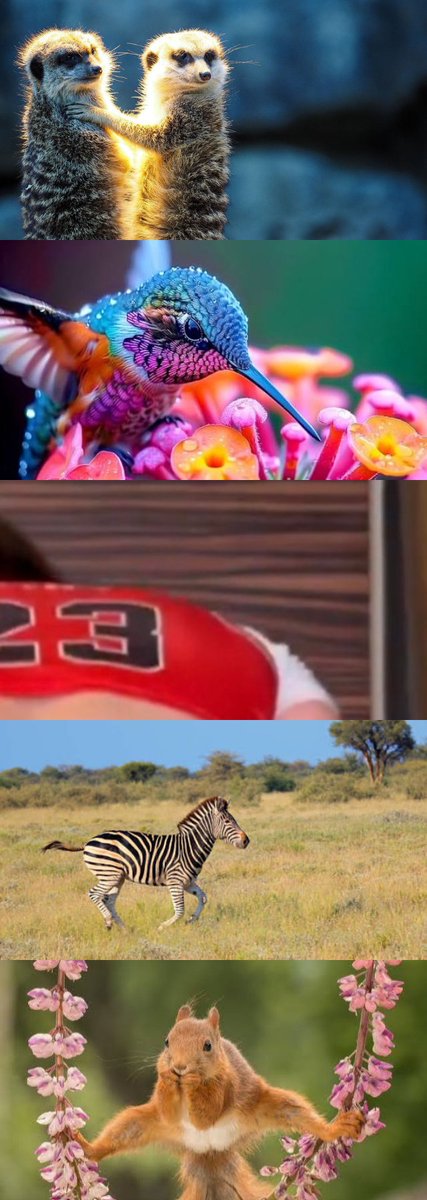 me and who tweet media