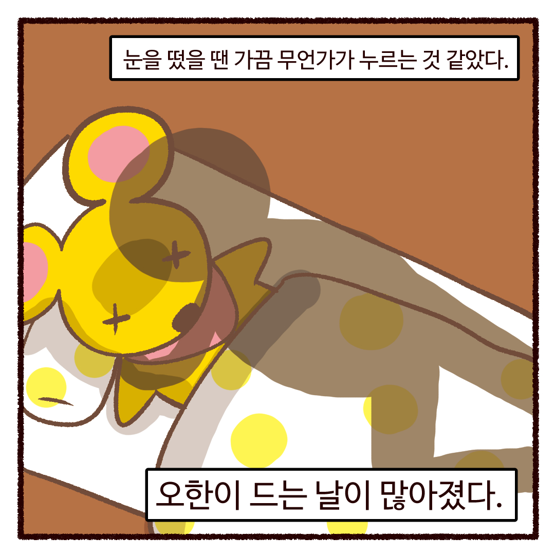 엘레꼴레(ElleColle)통합공지계 tweet media