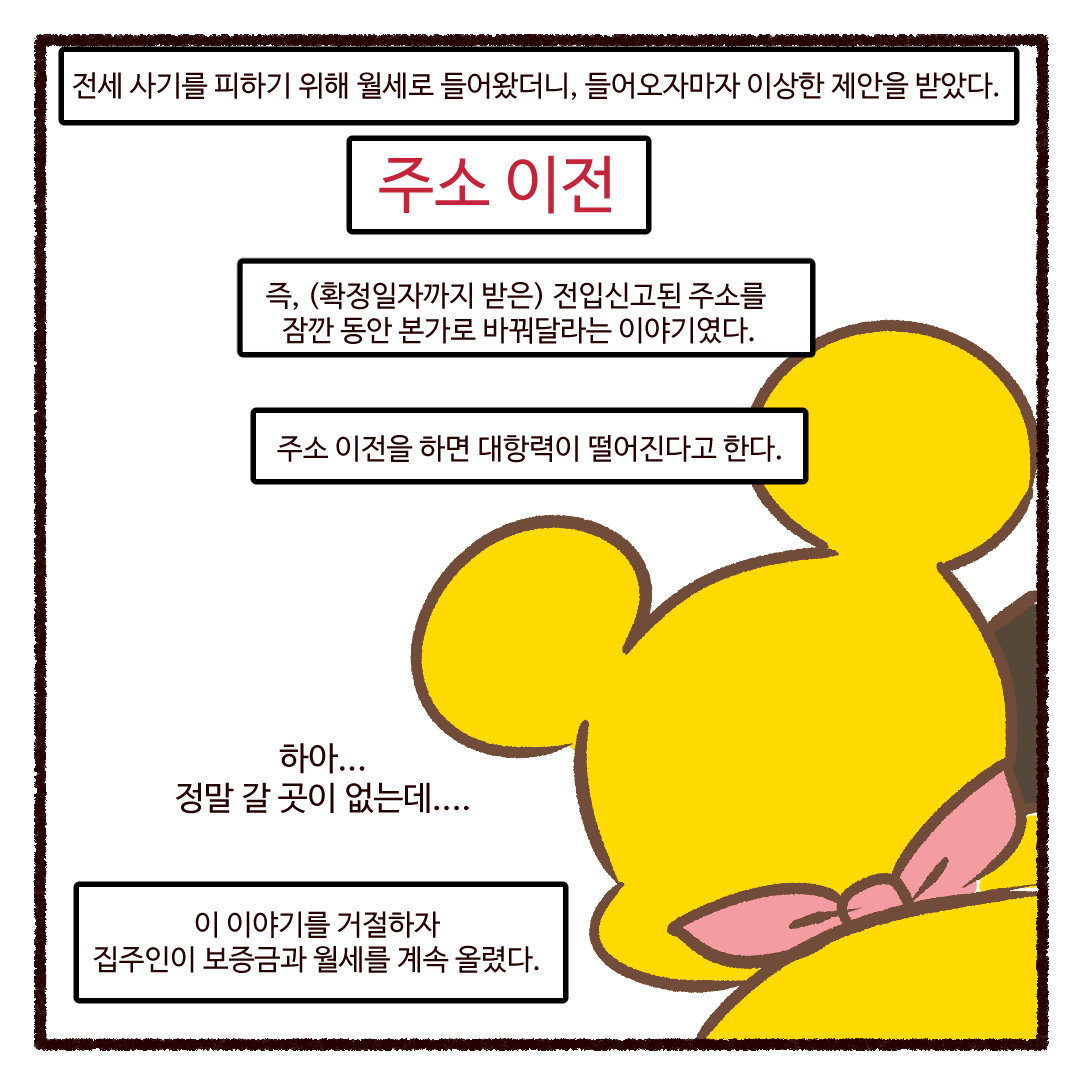엘레꼴레(ElleColle)통합공지계 tweet media