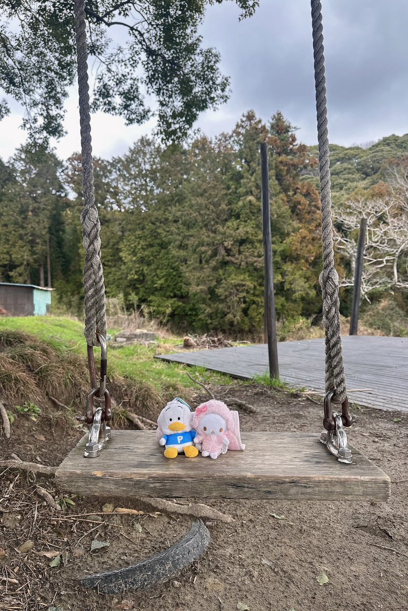 ピアノちゃんがいれば映えなんて関係ない。