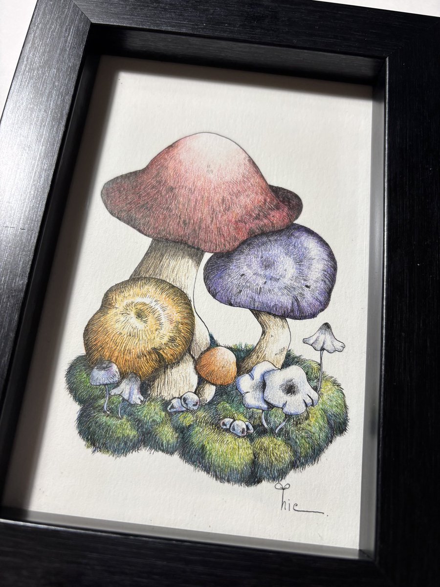 昨日のきのこに色塗ったよ🍄

 #ペン画 #色鉛筆 #原画
