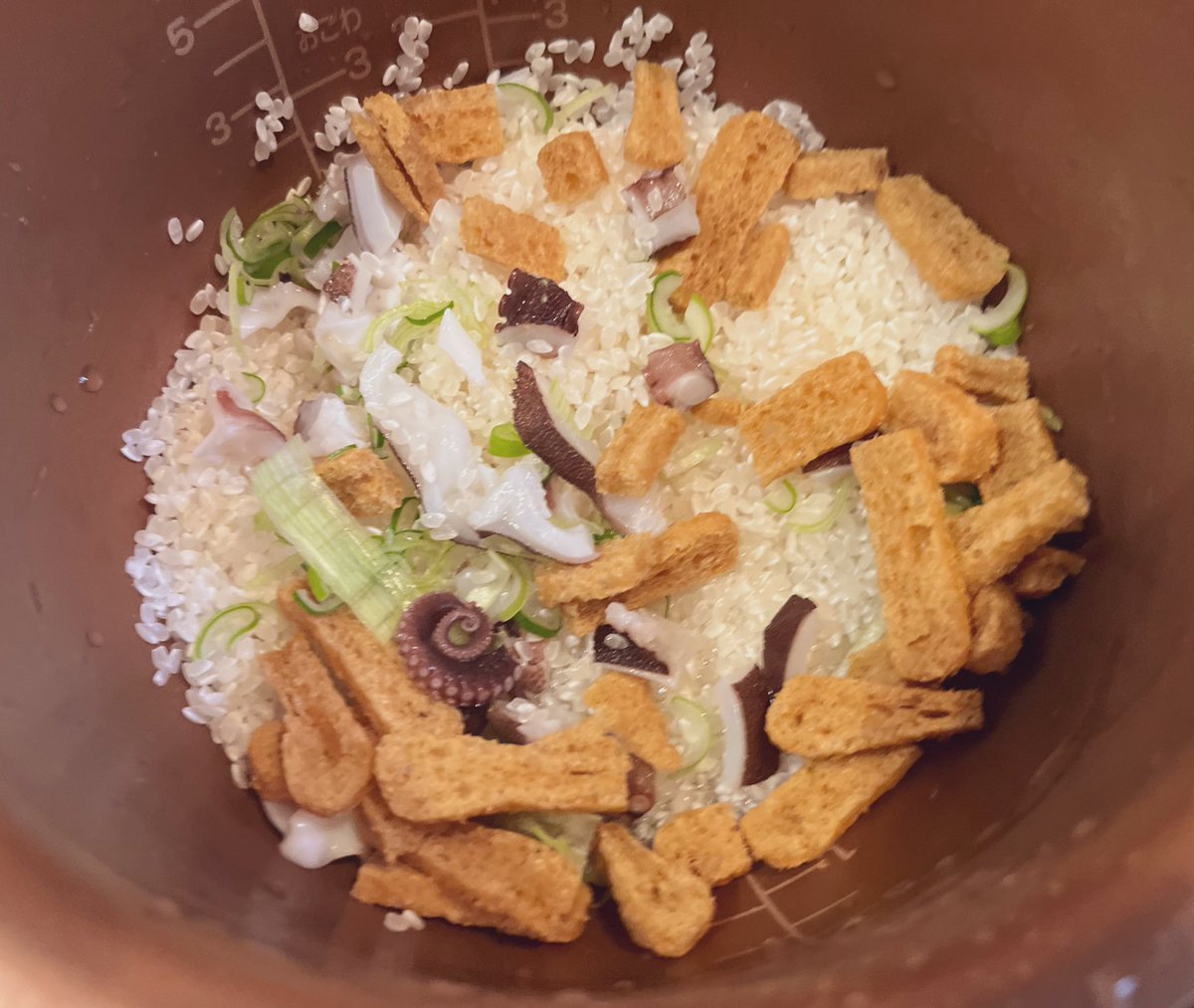 そして晩飯用にタコの炊き込みご飯をつくりました。タコ料理デー。

#タコめし
#マダコ