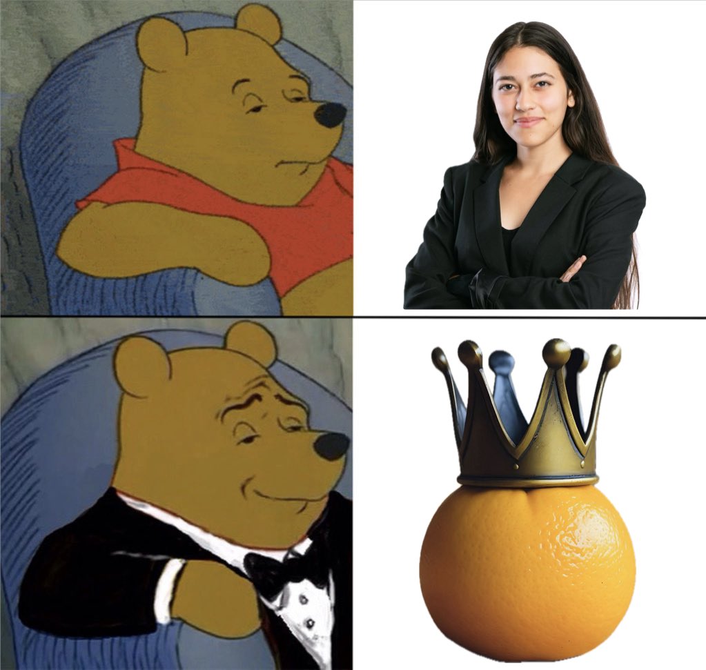 מויש בוילן tweet media