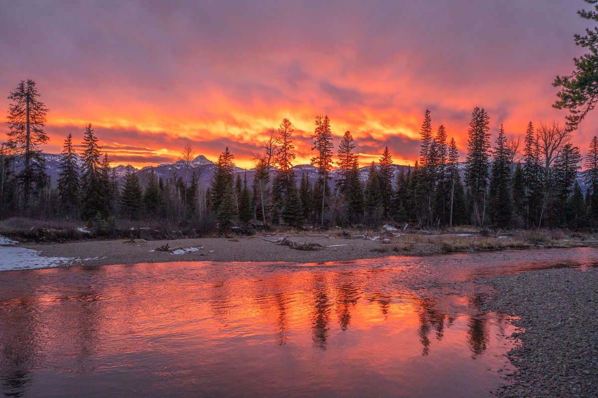 Leon Kauffman tweet media