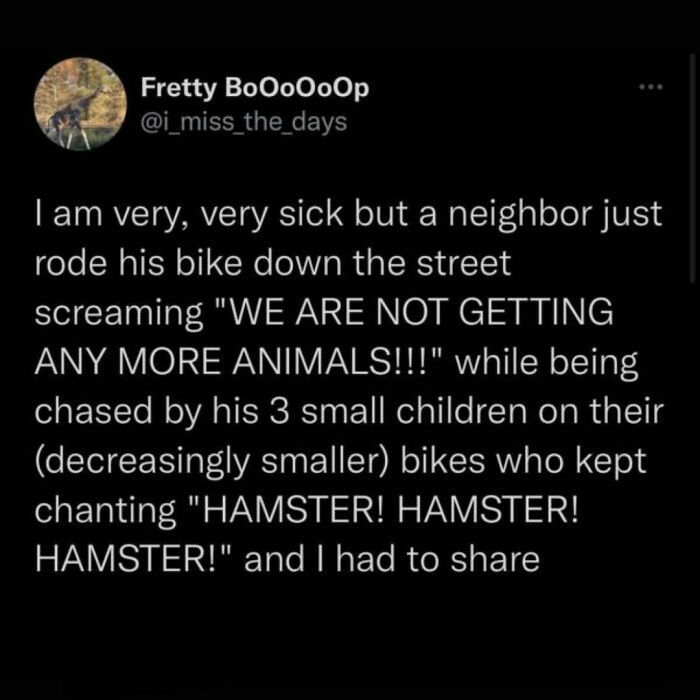 Wolf of X tweet media