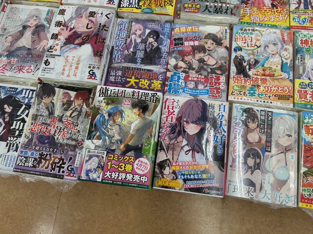 HJ文庫・ヒーロー文庫・講談社ラノベ文庫新刊入荷いたしました。 当店