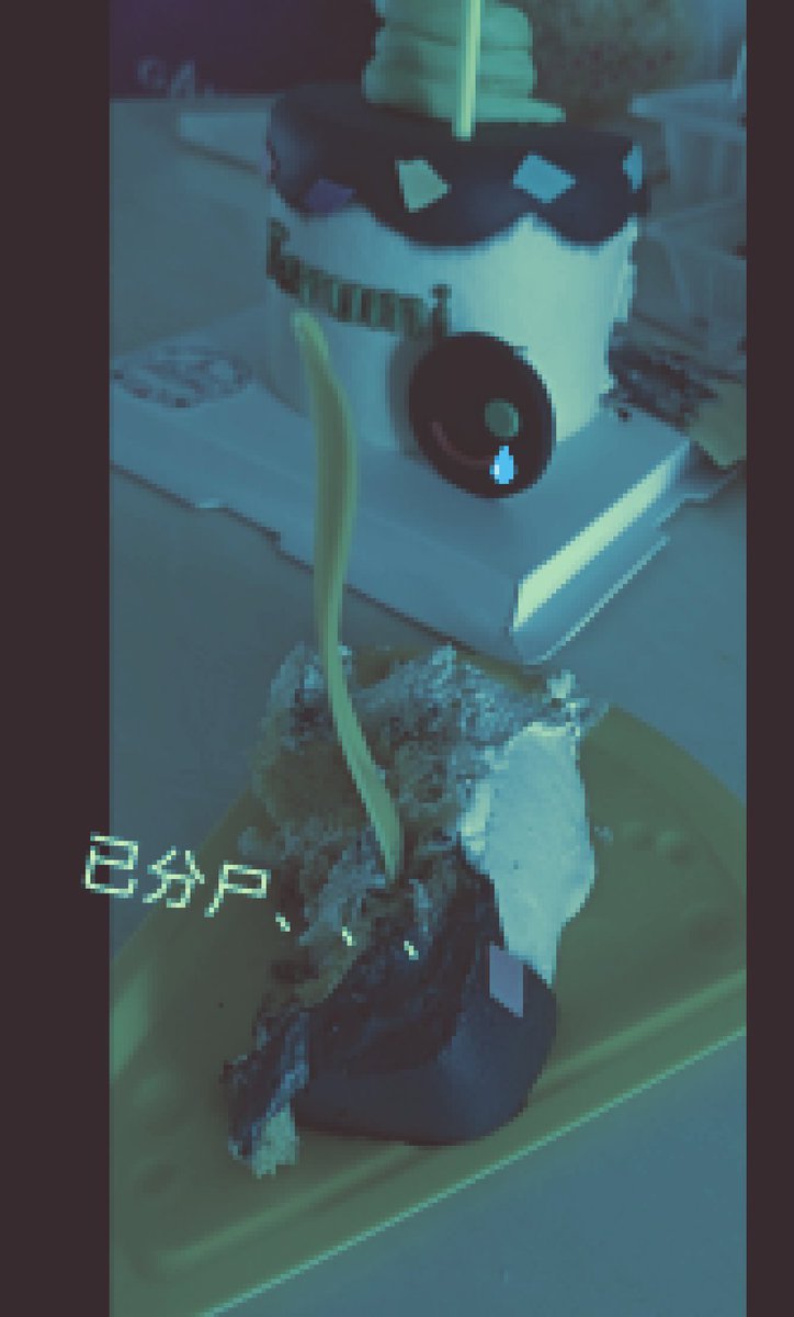 看着很诡异但是冰淇淋蛋糕挺好吃的，