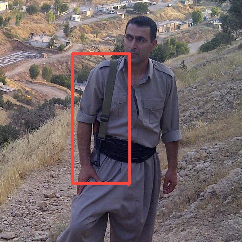 سارا نویدی tweet media