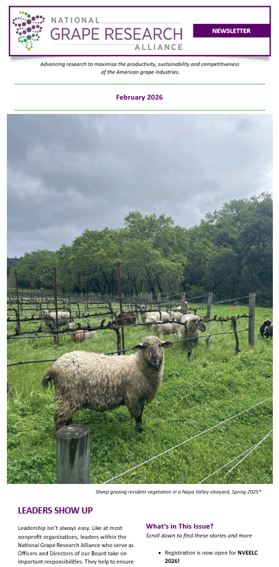National Grape Research Alliance tweet media