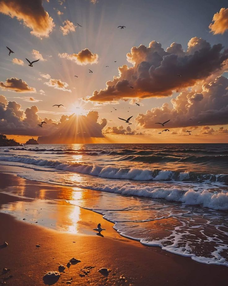 Non importa ciò che è stato,
l’importante è aver provato,
adesso guarda oltre,
supera i sentieri di miseria
che la vita può farti percorrere,
vinci ancora il dolore
per sorridere
solcando il mare dell'avventura

#Buongiorno #27febbraio
#NoiSiamoIlDestino 
#SenzaRancore