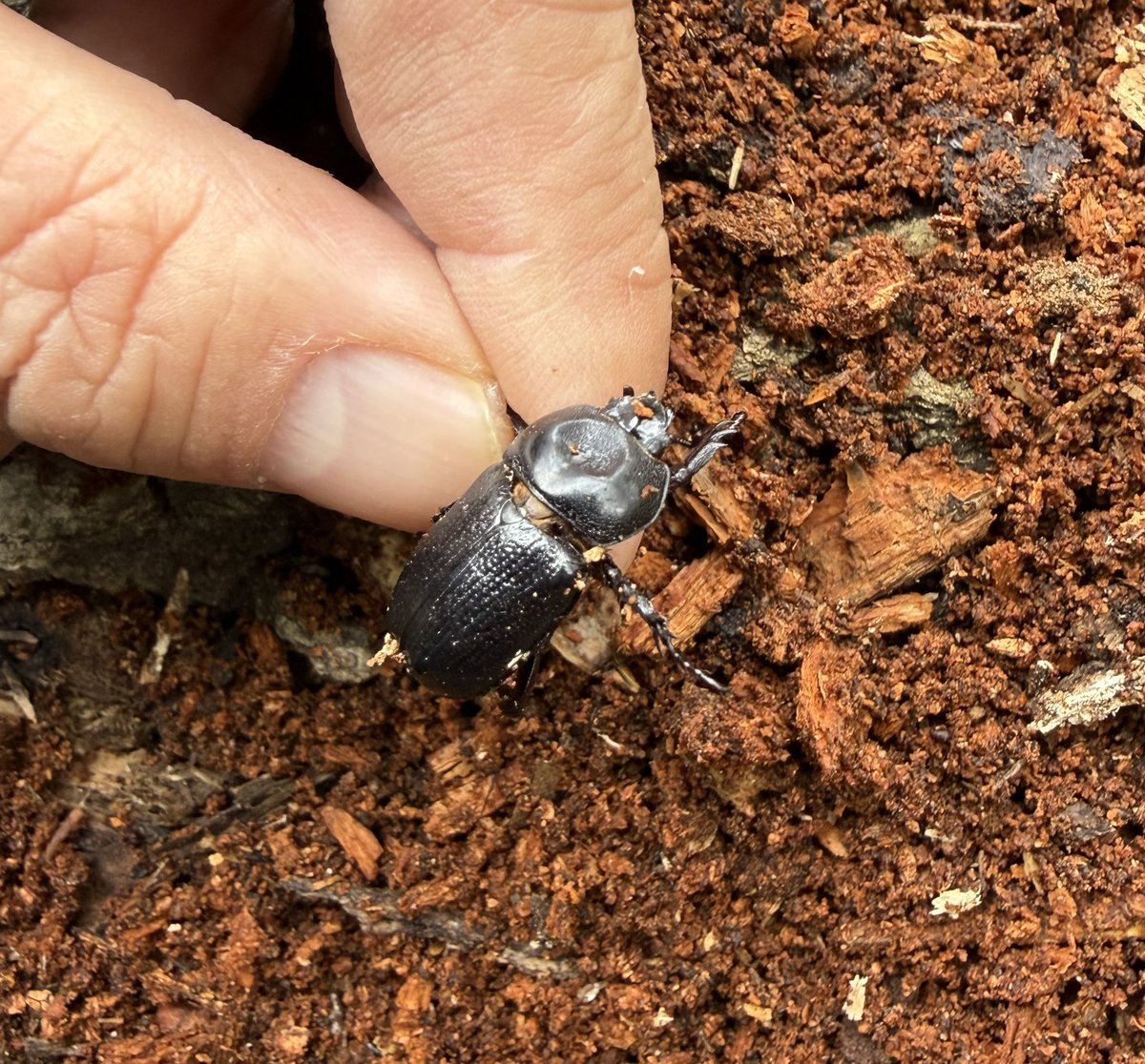 わわwa3 (@jb_wa3) / Posts / X