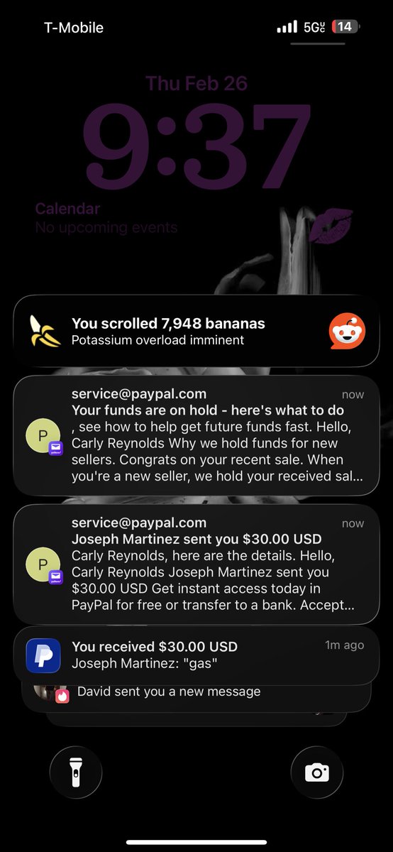 icarlydontcare's tweet photo. first tribute! Who’s gonna be next?
#paypig #findom #findompaypig #emptyyourwallet https://t.co/pbqBRKQ8nv
