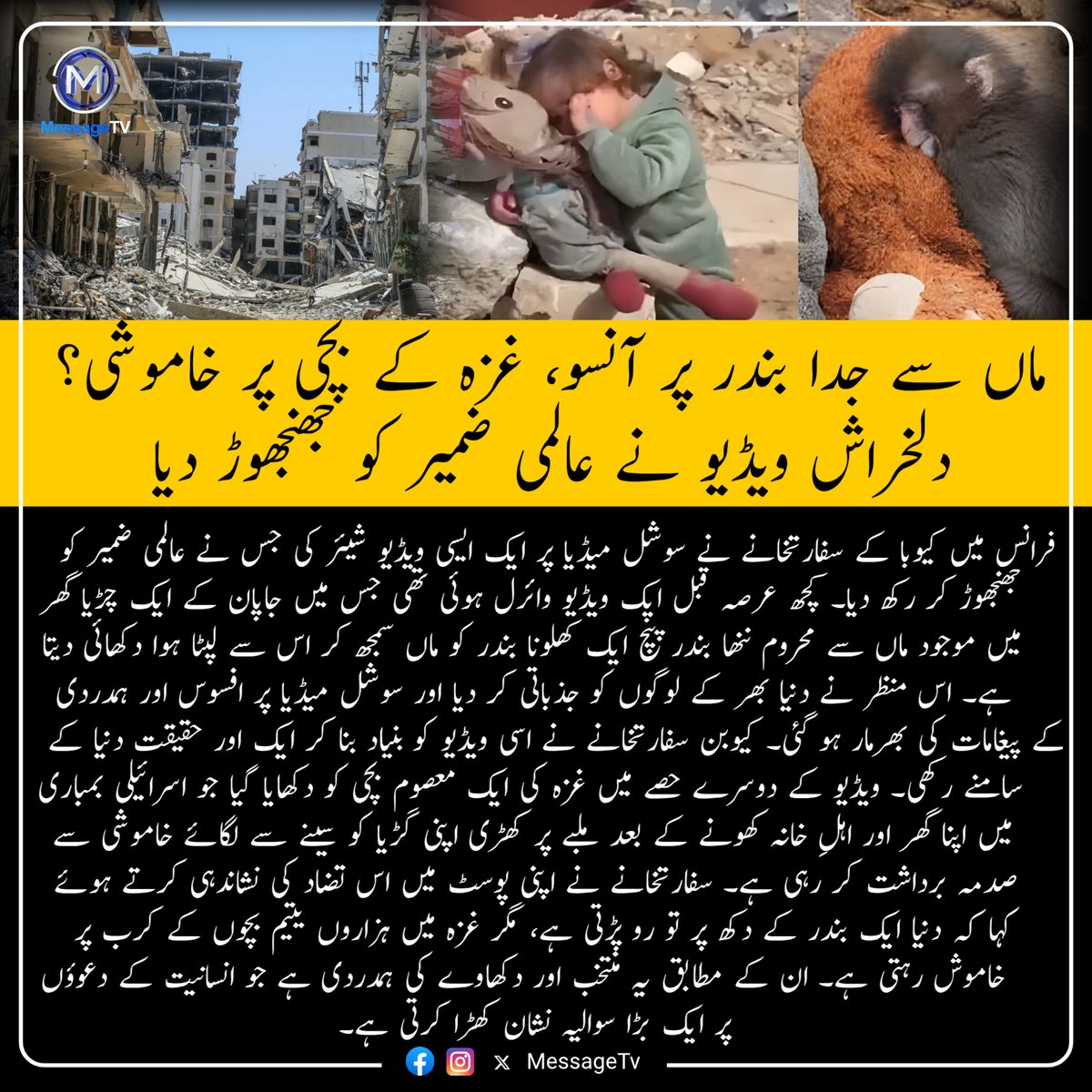 MessageTvPK's tweet photo. ماں سے جدا بندر پر آنسو، غزہ کے بچی پر خاموشی؟ دلخراش ویڈیو نے عالمی ضمیر کو جھنجھوڑ دیا
#messagetv #Gaza #GazaChildren #GlobalConscience #Humanity #freepalestine https://t.co/F1SF2GGsoQ