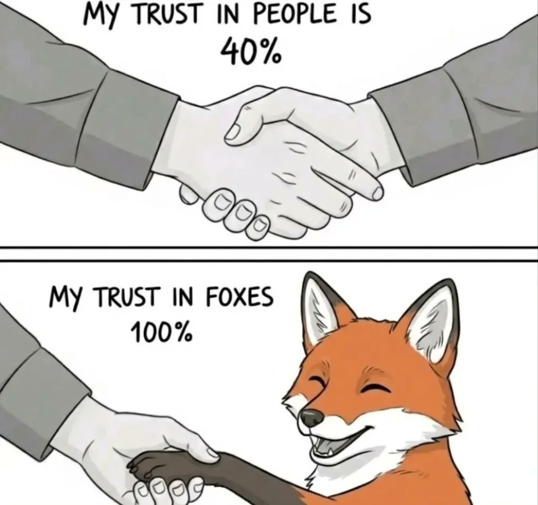 TheFoxLife's tweet photo. Plot twist: the fox is more loyal than people 🥲 https://t.co/rUYzZNpNMT