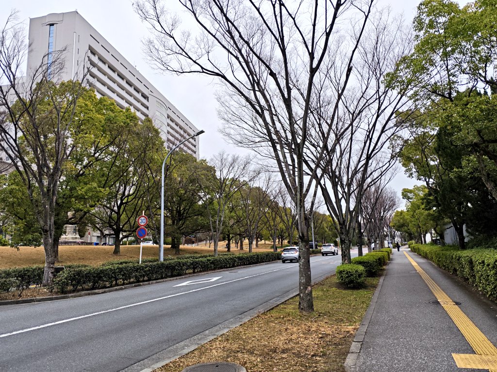 ｵﾅｶｽｲﾀｷｬｿﾊﾟｽ、わが母校の雰囲気に似ているものだから、ほとんど来ない