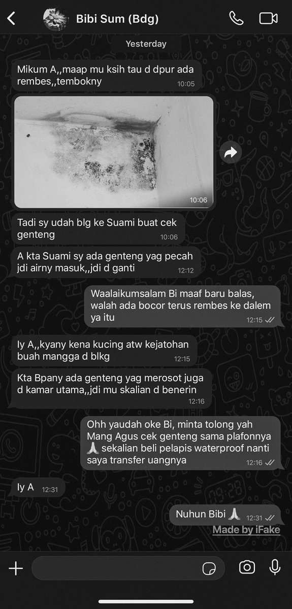 BASMARA. tweet media