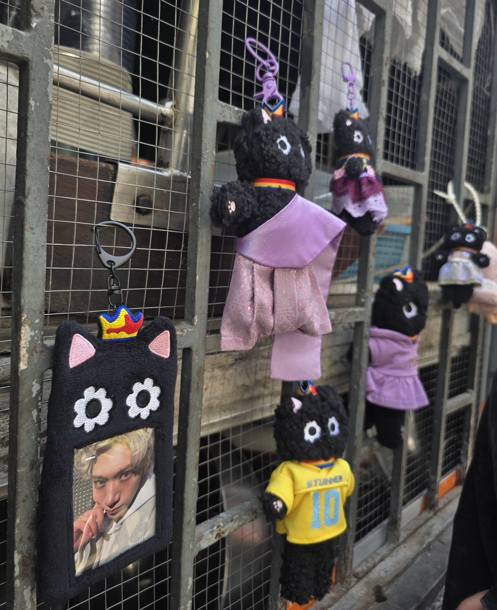 ยืนห้อยไอ้เล่อยู่มีคนเดินมาถามว่าเอาแมวดำได้ที่ไหนหรอคะ ที่กู่หลงเปาหรอ เอ็นดูเค้ามาก กานูเล่แมวดำตาดอกไม้แมสมาก

#TEN_BDAY2026
#HAPPYTENDAY