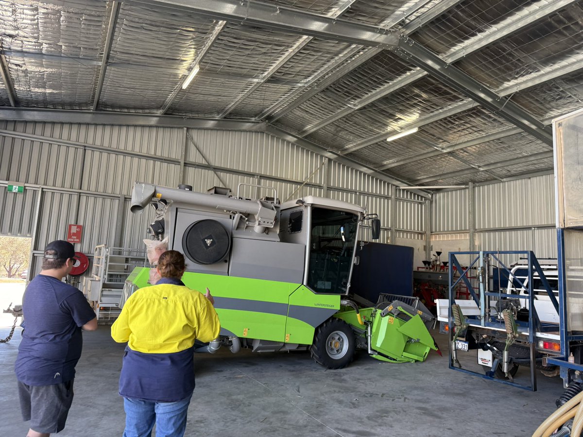 Amber BC tweet media