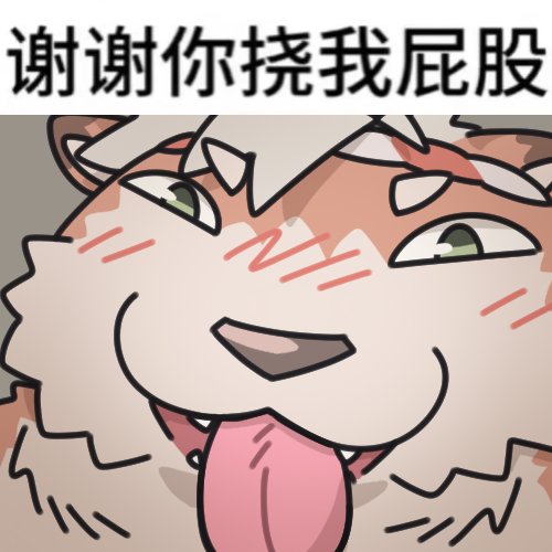 WhiteBearRRY's tweet photo. （再附赠几个摸的小表情包（） https://t.co/rAgqGJQmiQ