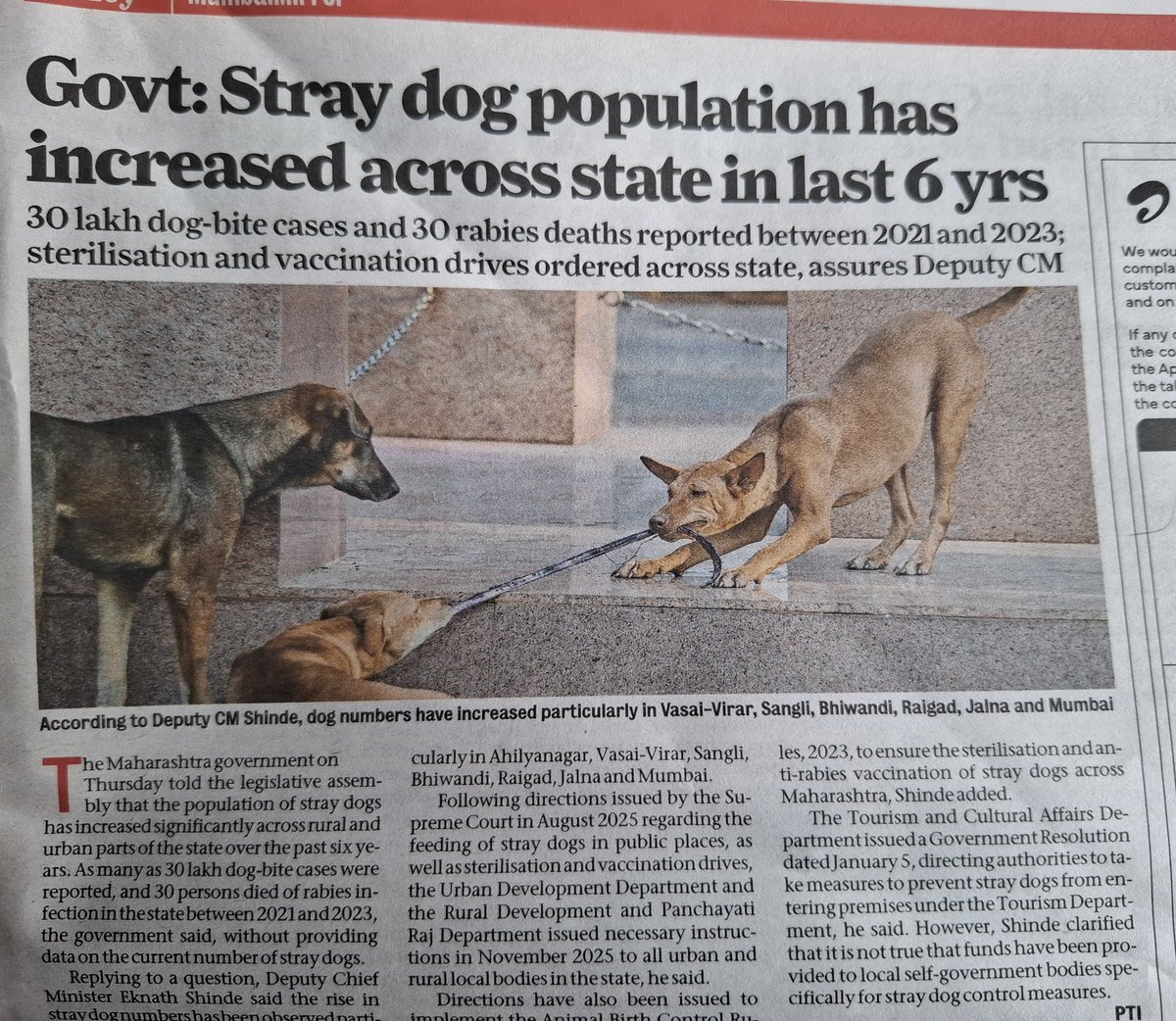 #Maharashtra- 3 million #dogbites and 30 #rabies deaths in just 2 yrs!
<a href="/mieknathshinde/">Eknath Shinde - एकनाथ शिंदे</a> sir, we #taxpayers do not want to waste our hard earned money on sterilization &amp; vaccination, which hasn't  worked in the past 25 yrs! Plz shelter all #straydogs with sex based segregation.