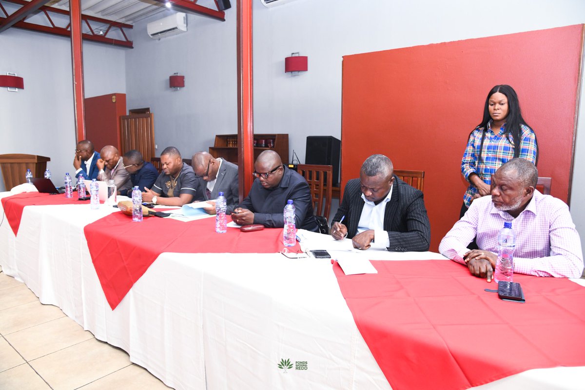 Fonaredd_RDC tweet media