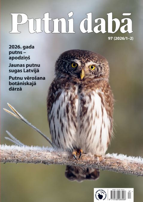 Oskars Keišs 🇺🇦 tweet media