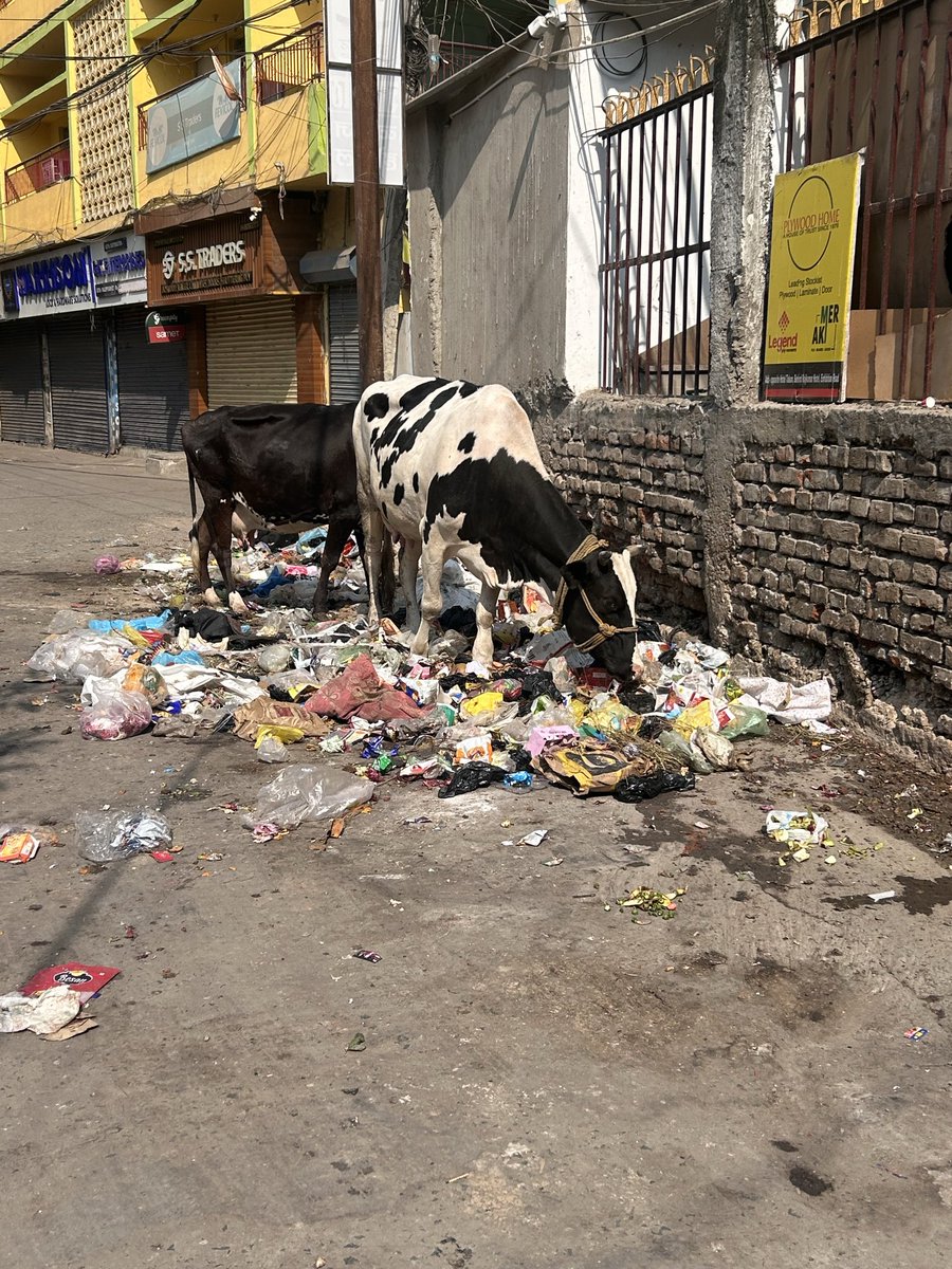 PixelAnand's tweet photo. @PMCBihar  it is an open garbage drop centre. It cover the substantial portion of the road and stinks like hell. People also urinate on these walls. Garbage truck comes everyday but there is no garbage bin here. 
Location- Dwarkanath lane, Yuvraj Hotel, Exbihition road, Patna https://t.co/HfUEOrtqDp