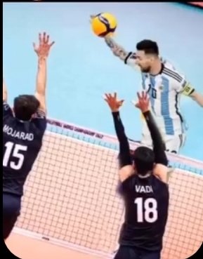 Jota7I's tweet photo. @someballfacts https://t.co/kgKaxVJD0O