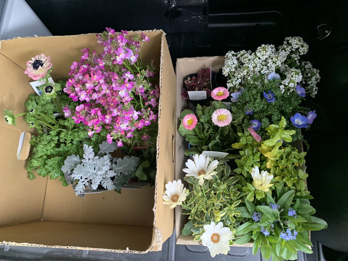 pikolynosuke's tweet photo. 春が来るぞ…！私の欲望が動き出した🌷🌷🌷 https://t.co/7Is6ZRJ0kT