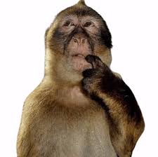 AshKetchup tweet media