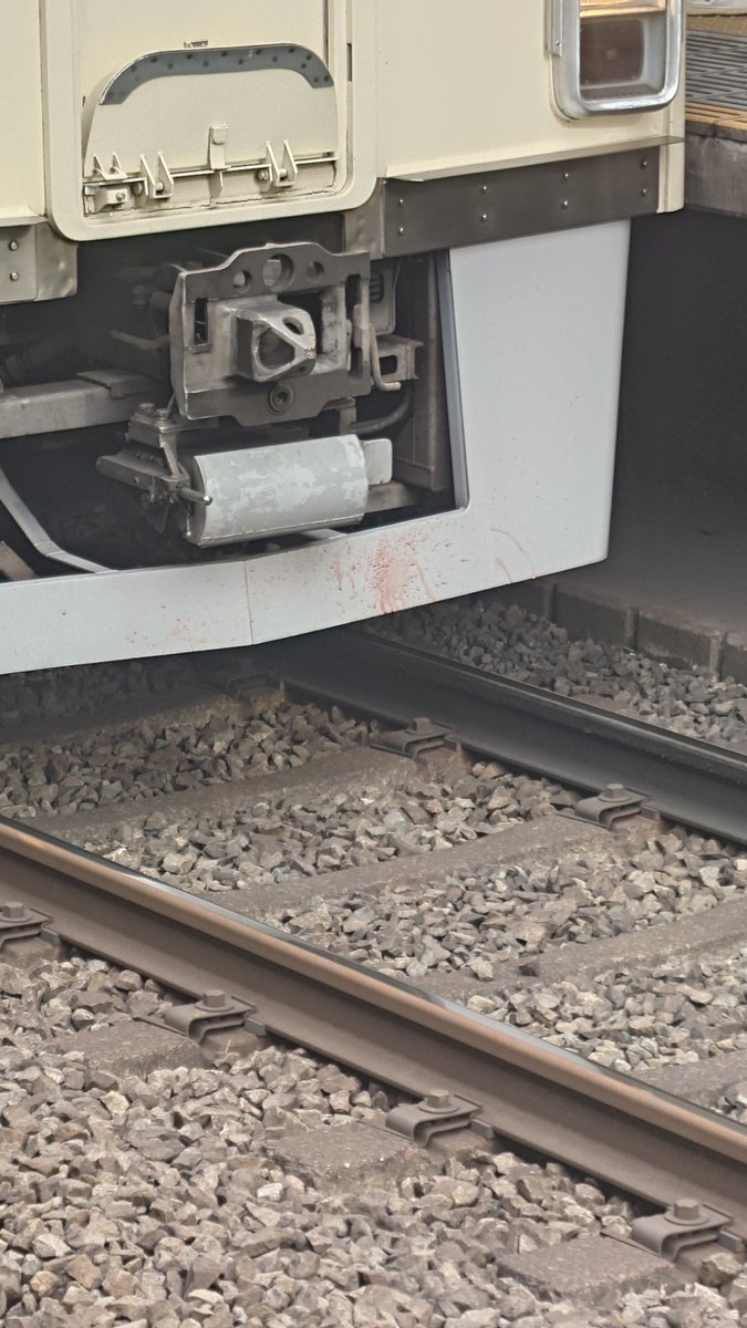 gadget724's tweet photo. #京王線  #柴崎駅 で特急電車が緊急停止してた。

おそらく、はねたっぽいな💦 https://t.co/7ZiPrE5229