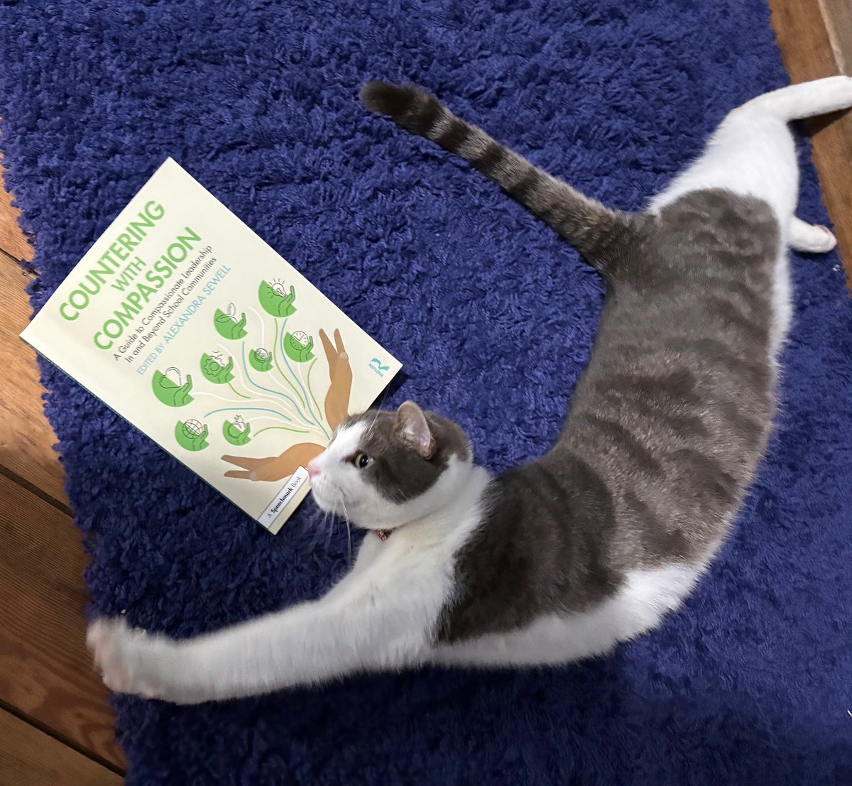 Chris Malone tweet media