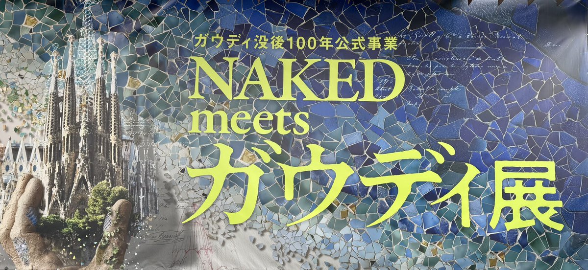 ぽんちゃん tweet media