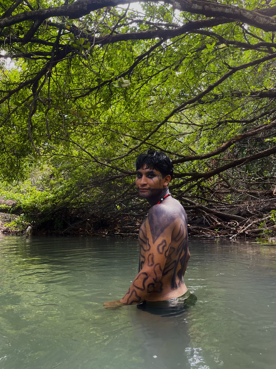 kallisson_'s tweet photo. Vem p meu mundo 💚 https://t.co/PgtYVfUk8a