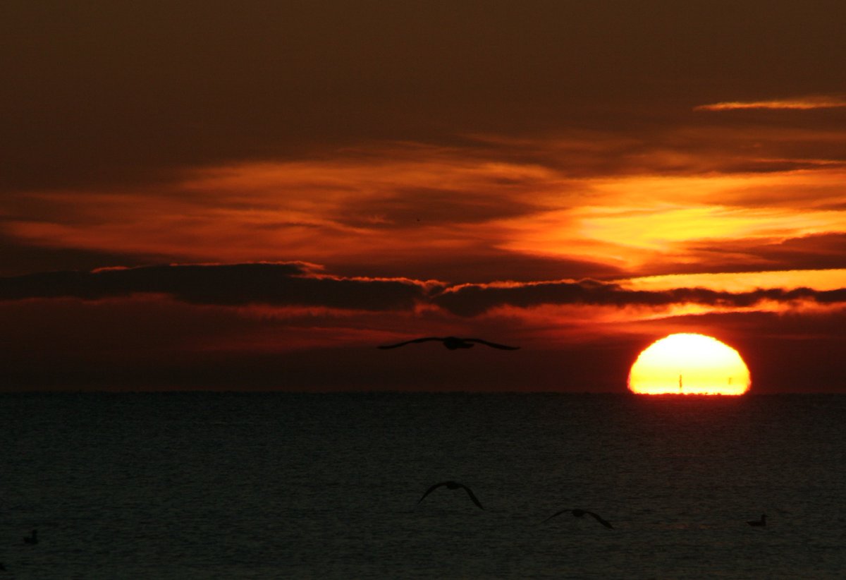 RomanP314's tweet photo. Sunrise #morining https://t.co/NJADHnpR5U