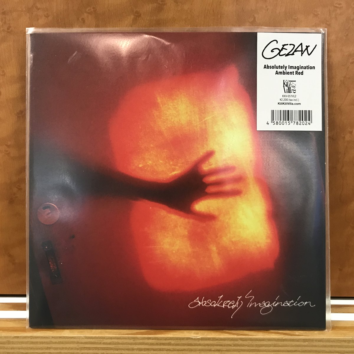 gezan absolutely imagination レコード 【公式通販】