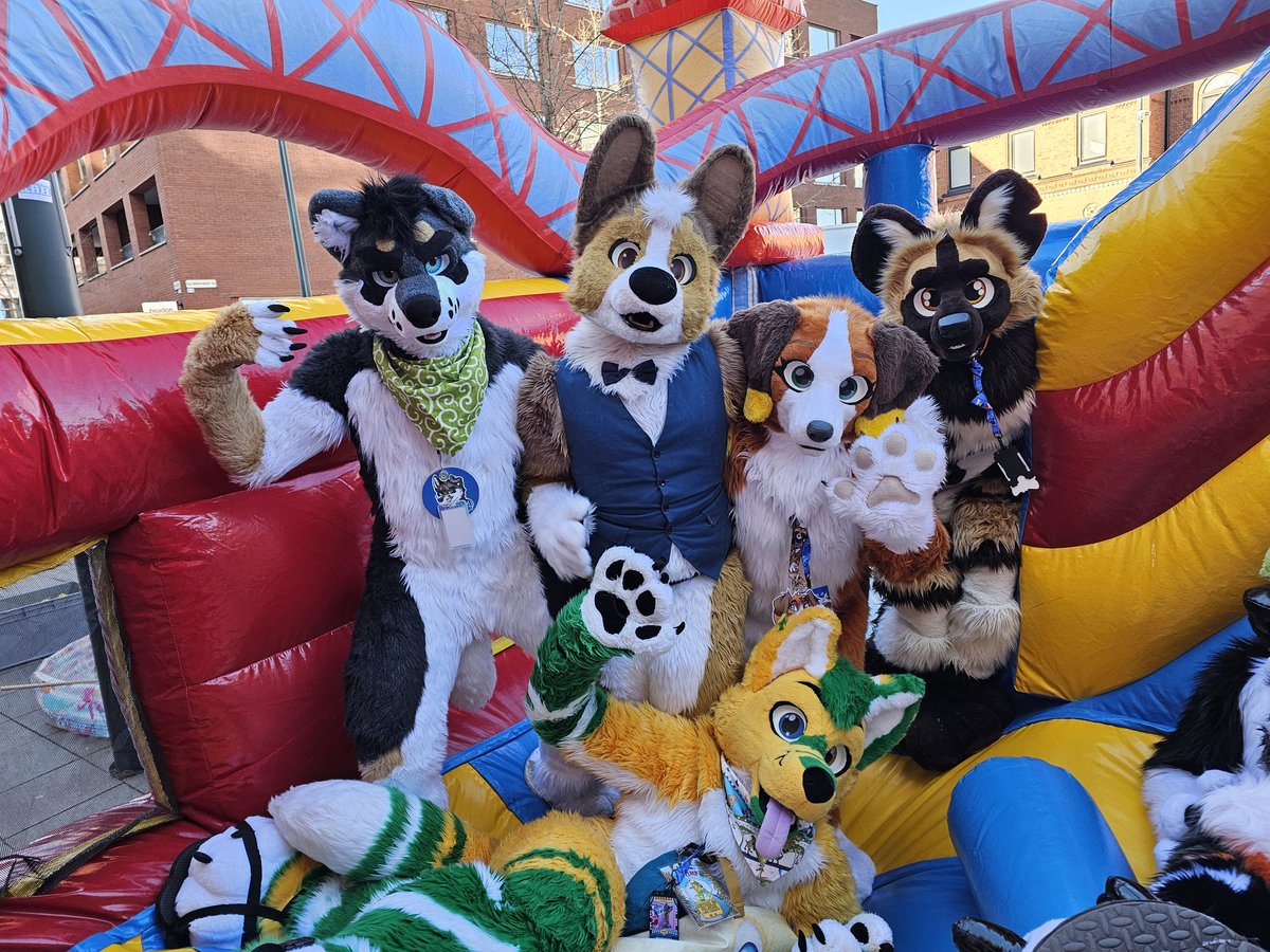 Apollo アポロ tweet media