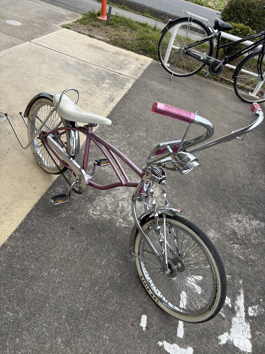 近所のスーパー行くだけでもローチャリ🚲