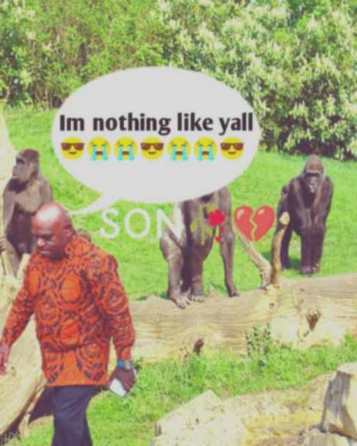 arsipmim (@arsipmim2) on Twitter photo 