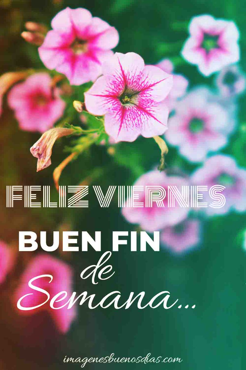 Buenos días y Feliz Viernes a T0d@s. 
🎇🌞☘️🌷☘️🌹☘️💐☘️💕🤗😉😘