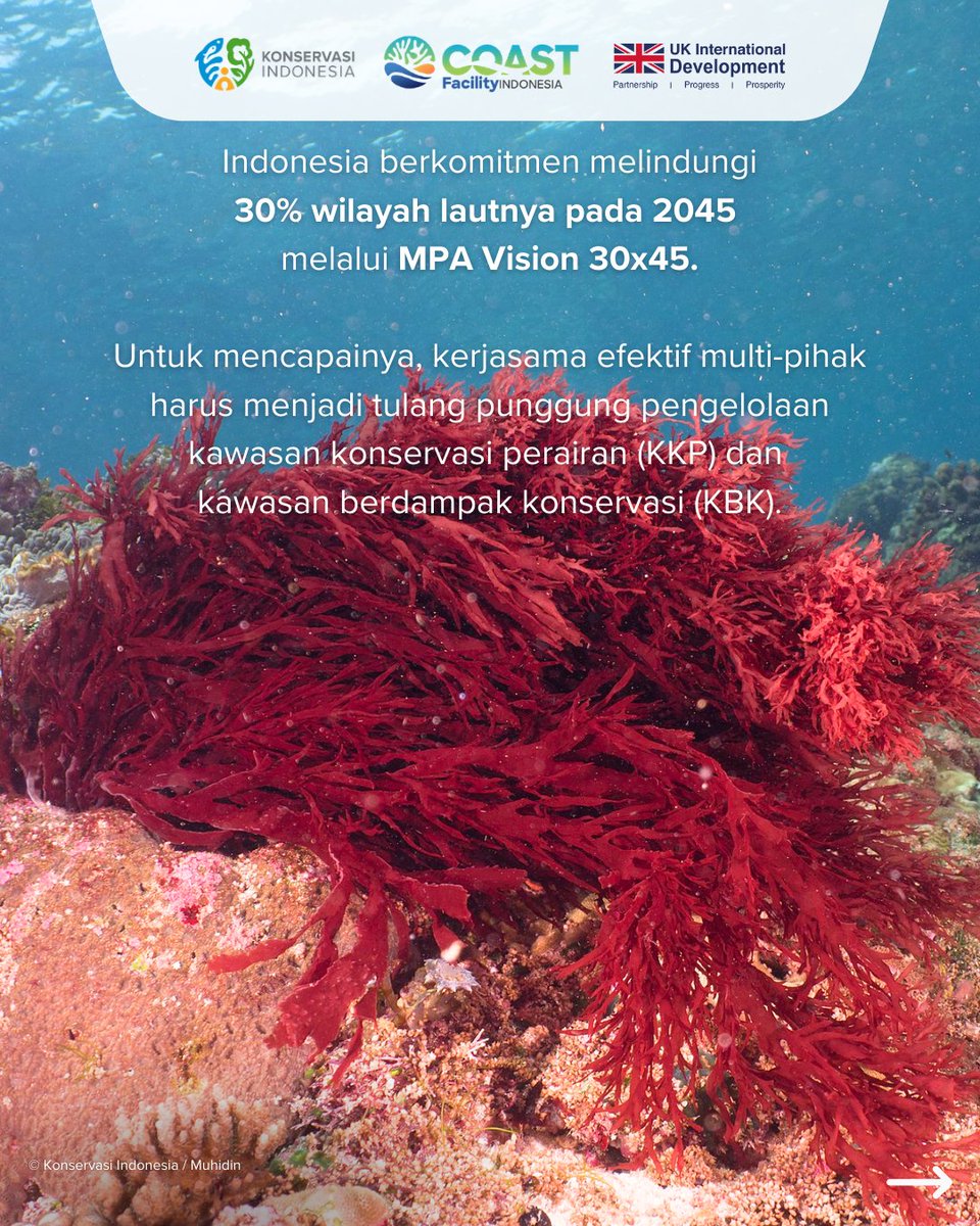 KonservasiID's tweet photo. Kami bersama komunitas lokal, pemerintah, dan sektor swasta, memulai perjalanan baru untuk memperkuat konservasi laut dan mata pencaharian masyarakat pesisir melalui pendekatan co-management dan inovasi pembiayaan biru. #Bintan #ProjectKickOff #COASTProgramme https://t.co/C58BG4mqQl