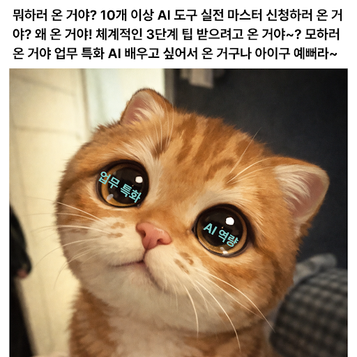 한빛+ tweet media