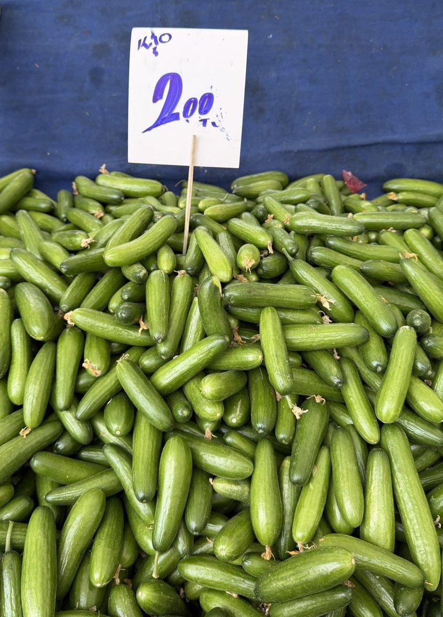 markette hacılar "vuuu!" der allah.