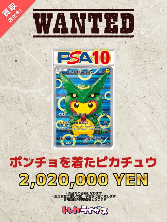 WANTED】 ⚠️⚠️⚠️⚠️⚠️⚠️⚠️⚠️⚠️⚠️⚠️ ポンチョを着