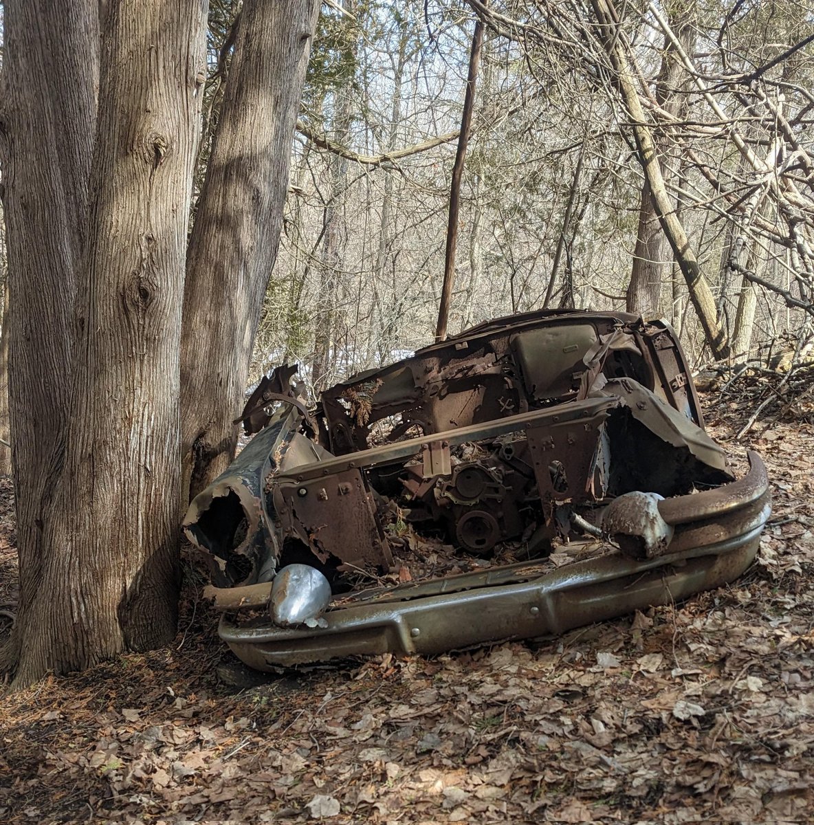 Rinnosuke Morichika tweet media