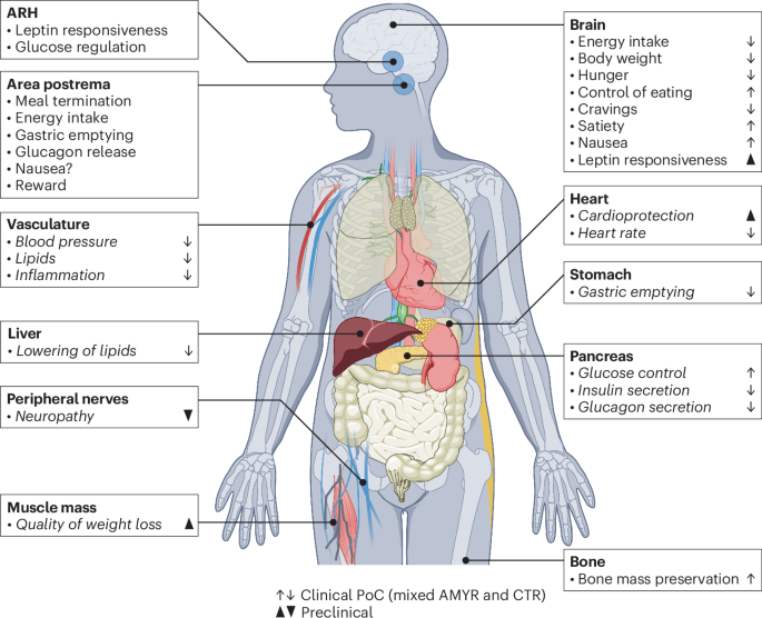 Cristina Tejera tweet media