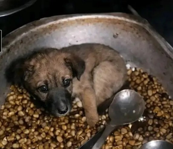 Ile uchafu umekula kama hujui ni more than yenye unajua